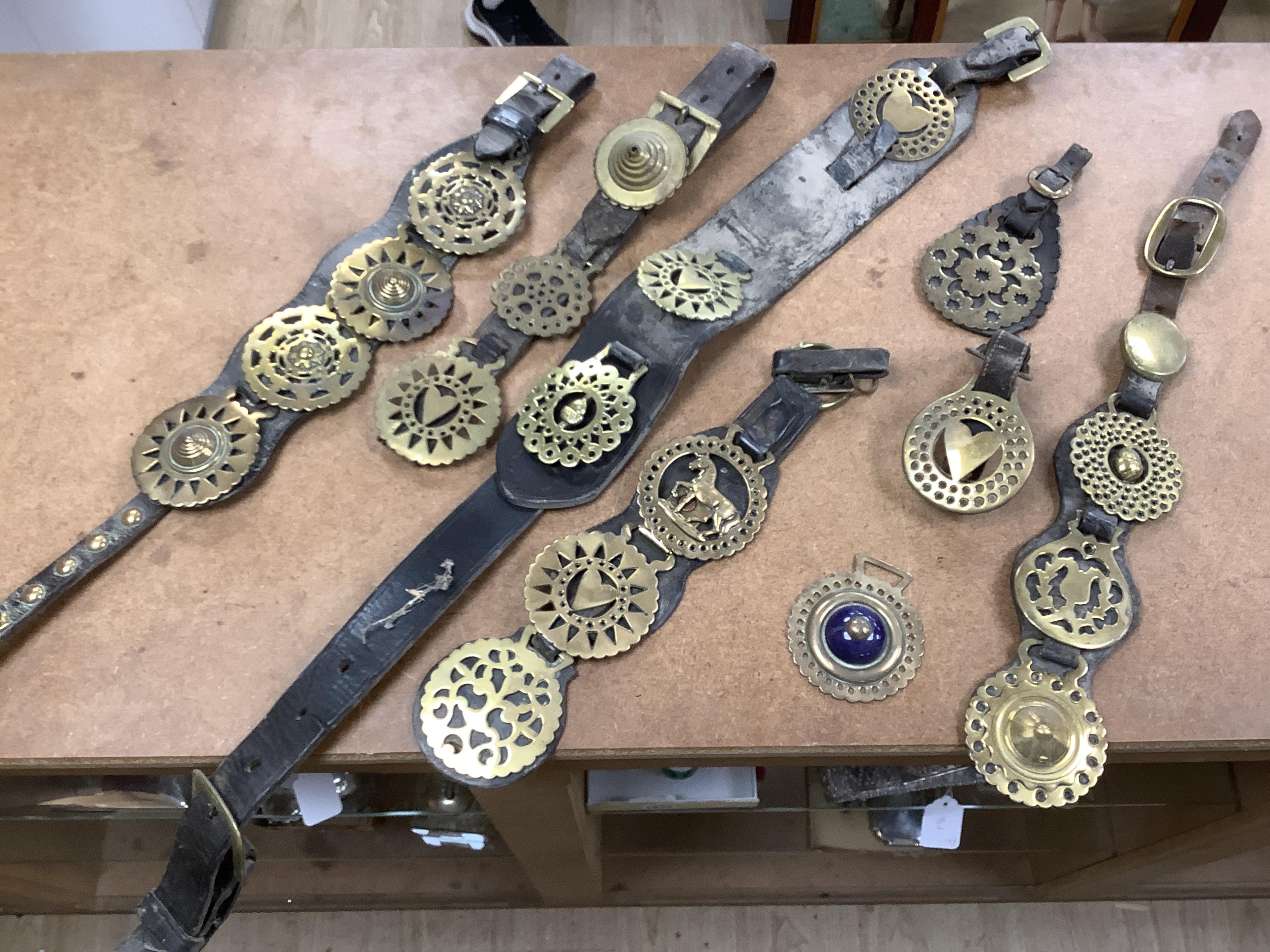 A collection of various horse brasses